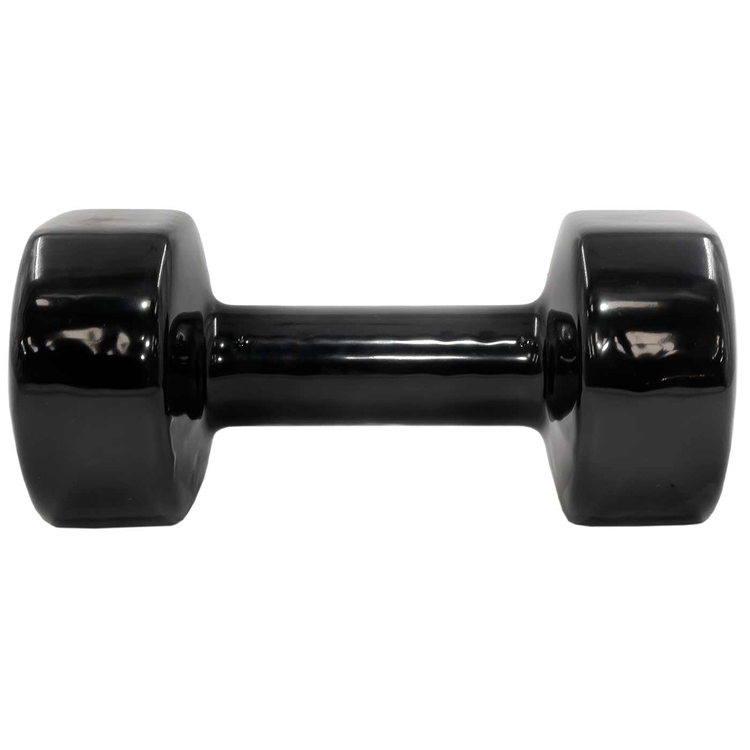 Mancuerna de vinilo EVOLUTION 15 lb Mancuerna de vinilo EVOLUTION 15 lb