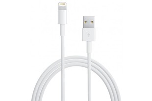 Cable APPLE USB a Lightning de 2.0 Metros Blanco - 